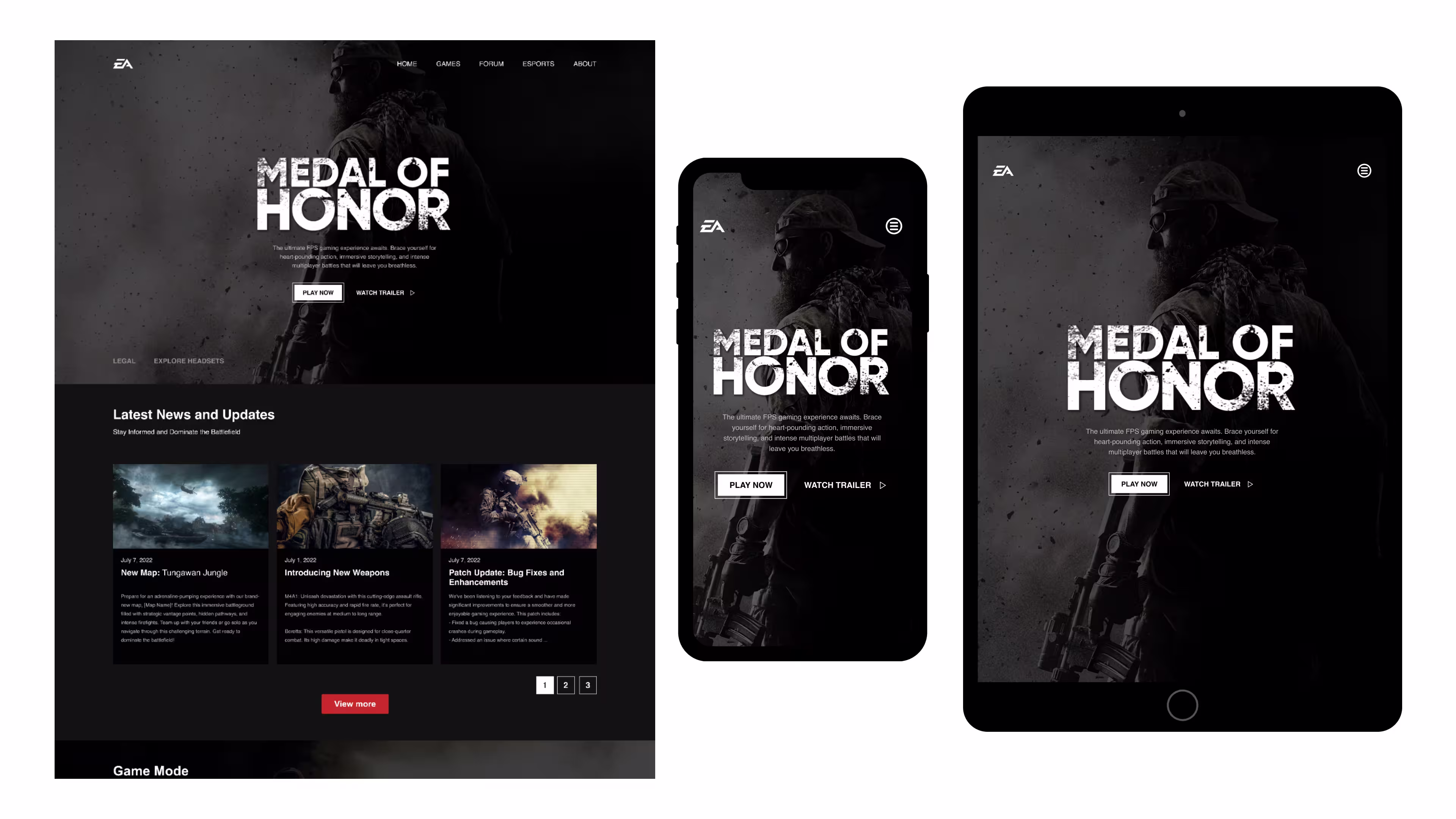 Medal of Honor (Case Study)
